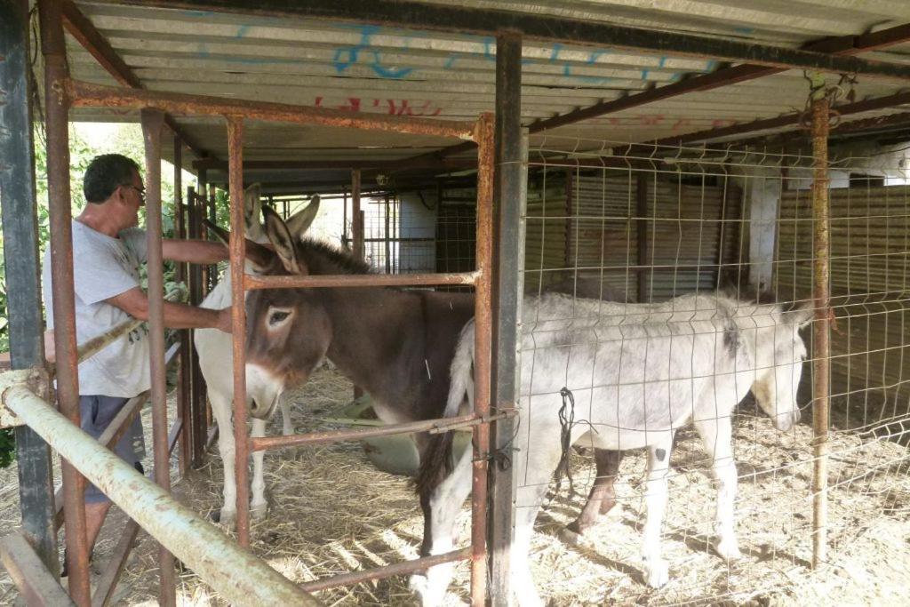 Finca Los Burros Tolatán Eksteriør bilde