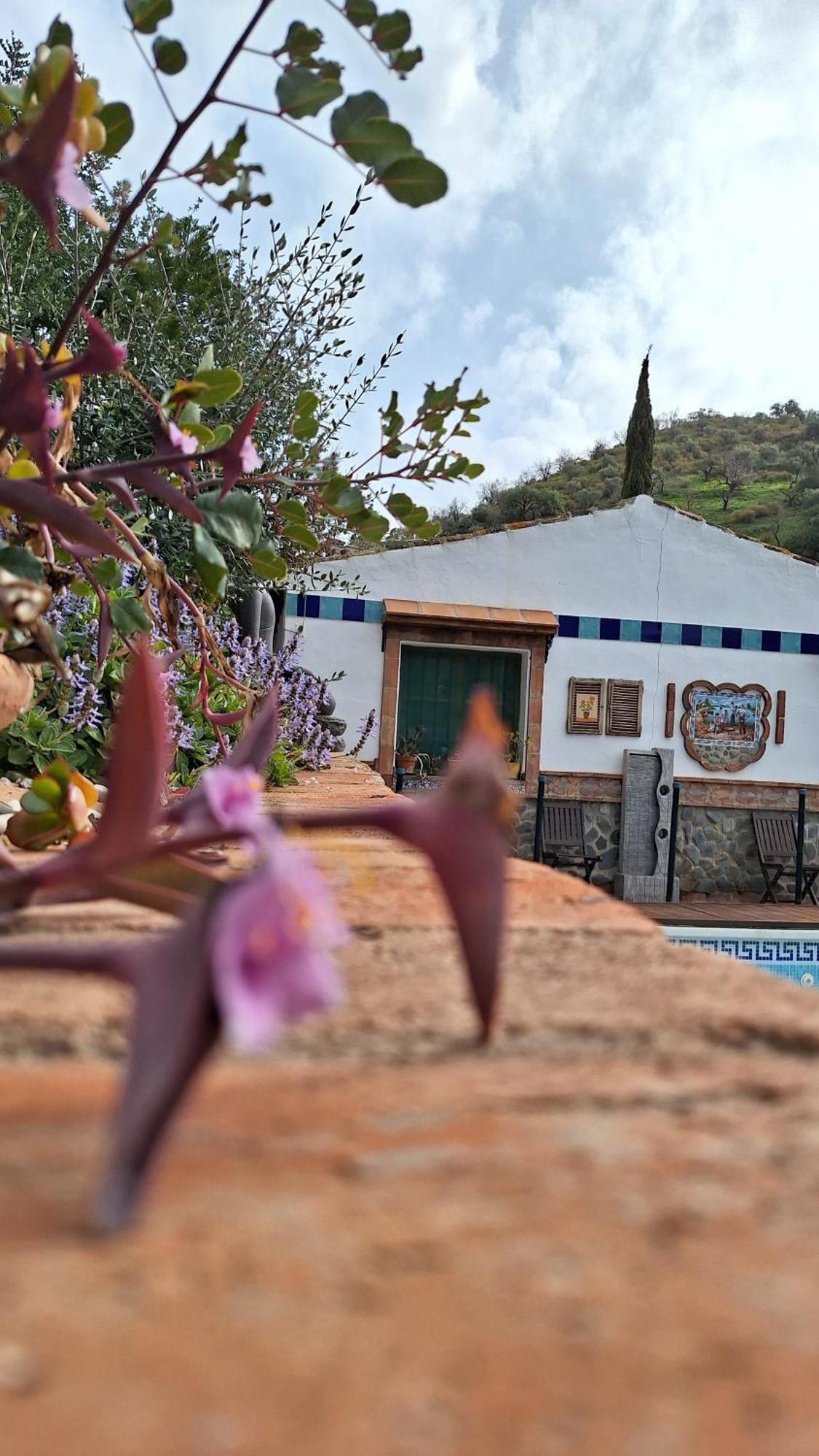 Finca Los Burros Tolatán Eksteriør bilde